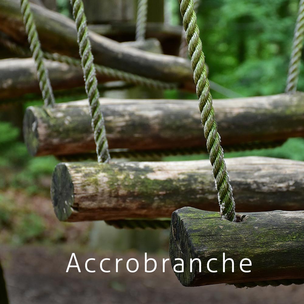 Accrobranche